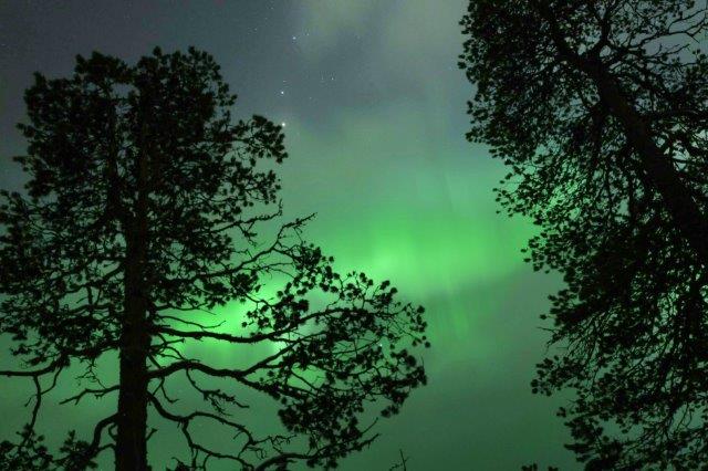 Nordlichter