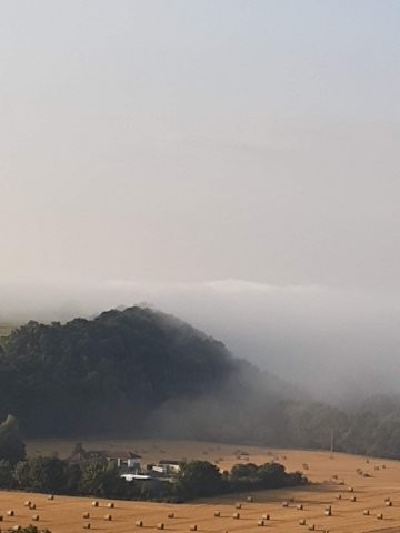 Nebel und Heuballen